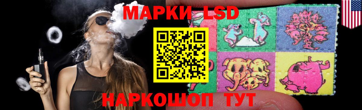 МЕФ Барнаул