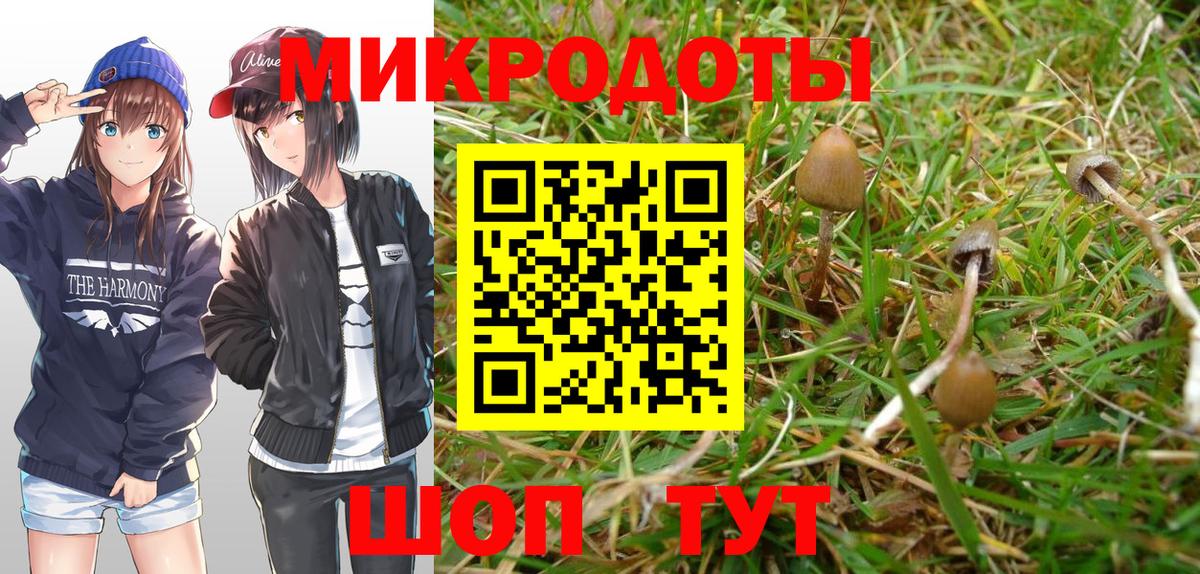 наркота  Псилоцибиновые грибы GOLDEN TEACHER  Вход с VPN  Барнаул 